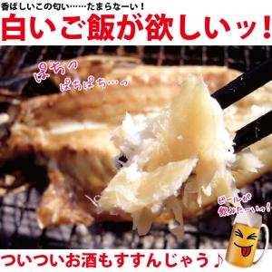 アジ 干物 1尾 ×1パック あじ 鯵 真空パ...の詳細画像2