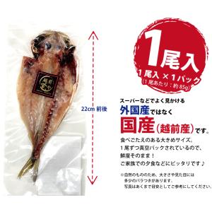 アジ 干物 1尾 ×1パック あじ 鯵 真空パ...の詳細画像4
