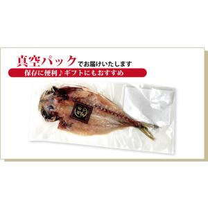 アジ 干物 1尾 ×1パック あじ 鯵 真空パ...の詳細画像5