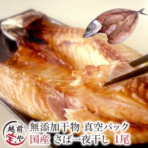 真空 さば 干物 1尾×1パック サバ 鯖 真空パック 一夜干し 一夜干し魚 一夜干しセット ((冷凍)) 爆買