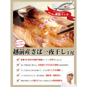 真空 さば 干物 1尾×1パック サバ 鯖 真...の詳細画像1