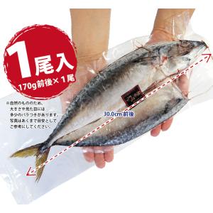 真空 さば 干物 1尾×1パック サバ 鯖 真...の詳細画像4
