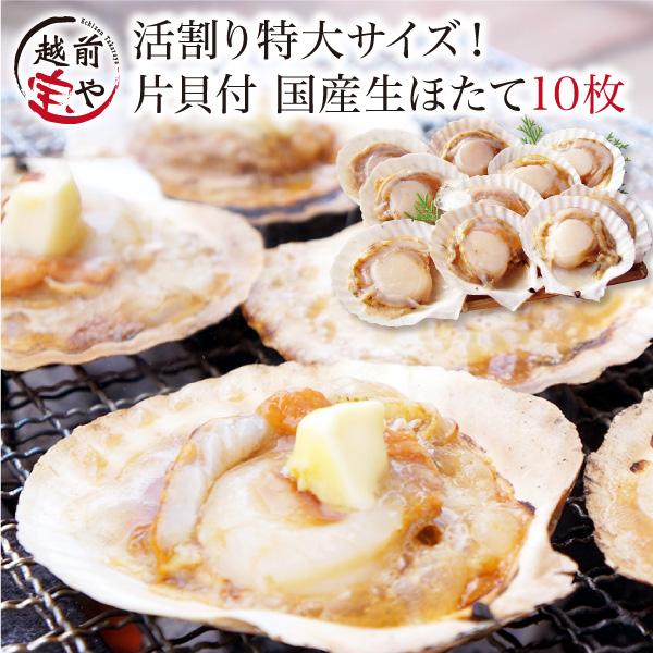 ホタテ ほたて 殻付き 10枚 海鮮 海鮮バーベキュー BBQ バーベキュー お取り寄せ 海鮮鍋 海...