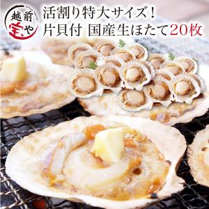 ホタテ ほたて 殻付き 20枚 海鮮セット 海鮮バーベキュー BBQ バーベキュー お取り寄せ 海鮮鍋 海鮮おせち ((冷凍))｜etizentakaraya