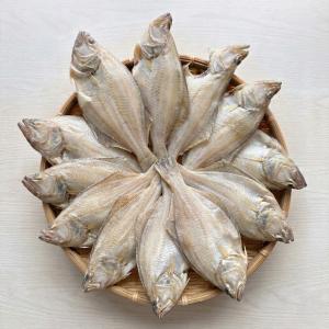 干物 訳あり かれい 1kg 9〜15枚　取り寄せ 身割れ 尾なし等 一夜干し 魚　((冷凍)) 爆買
