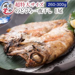 のどぐろ 魚 干物  260-300g×1枚 ノドグロ 干物セット 無添加 一夜干し魚 ((冷凍)) プレゼント ギフト｜etizentakaraya