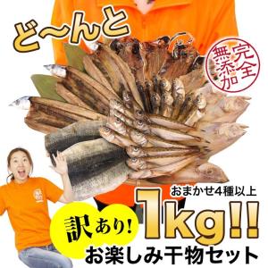 干物 訳あり おまかせ 1kg 4種以上 取り...の詳細画像1
