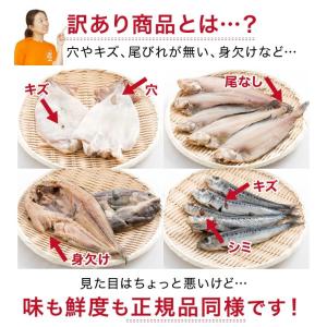 干物 訳あり おまかせ 1kg 4種以上 取り...の詳細画像3