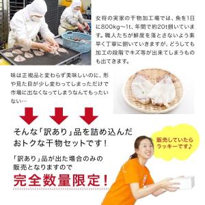 干物 訳あり おまかせ 1kg 4種以上 取り...の詳細画像4