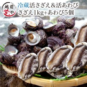 活 サザエ 1.0kg (天然 日本海産) ＆ アワビ 5個 (養殖) セット (活 さざえ 栄螺 ) ( あわび 鮑 ) 海鮮セット  バーベキューセット bbqセット ((冷蔵)) :sa-a-seto1:福井のカニ・干物専門店 越前宝や - 通販 - Yahoo!ショッピング
