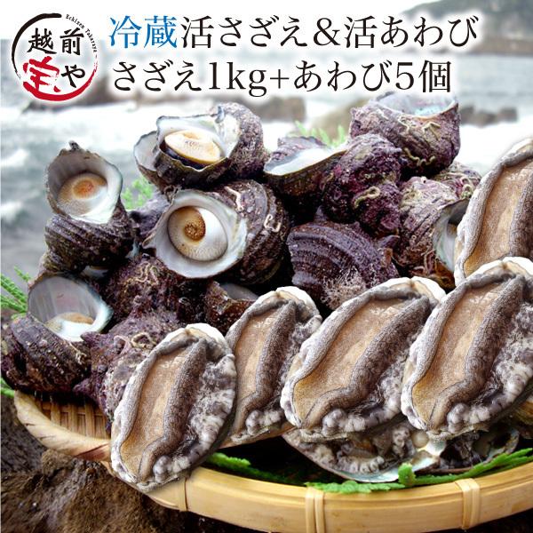 活 サザエ 1.0kg (天然 日本海産) ＆ アワビ 5個 (養殖) セット (活 さざえ 栄螺 ...