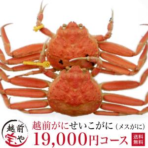 越前ガニ ボイル セイコガニ 19,000円コース（2杯/3杯/4杯/5杯）((冷蔵))  甲箱カニ 香箱ガニ せいこがに