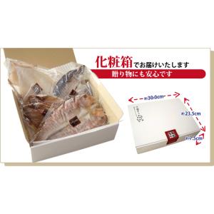 干物 夏の旬 干物 4種5尾+ 西京漬け 2種...の詳細画像5