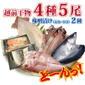 干物 夏の旬 干物 4種5尾+ 西京漬け 2種...の詳細画像4