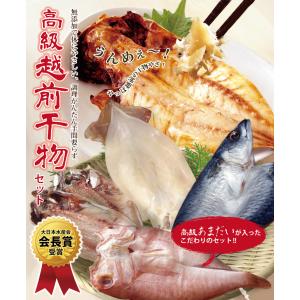 干物 夏の旬 干物 4種5尾 魚 干物 お取り...の詳細画像1