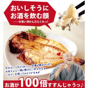 干物 夏の旬 干物 4種5尾 魚 干物 お取り...の詳細画像2