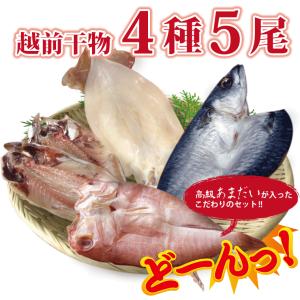 干物 夏の旬 干物 4種5尾 魚 干物 お取り...の詳細画像4