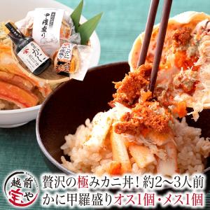 甲羅盛り セイコガニ 1個 × ズワイガニ (カナダ産)1個 出汁つゆ付 カニ丼 カニ丼の具 干しのり 付 ((冷凍))｜etizentakaraya