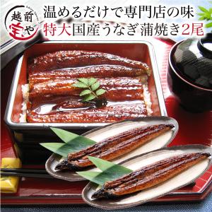 うなぎ 蒲焼き 2尾 鰻 国産 ウナギうなぎ蒲焼 お取り寄せ 美味しい 鰻の蒲焼 ((冷凍)) 魚 湯煎 時短 レンジ 温めるだけ 惣菜 電子レンジ｜福井のカニ・干物専門店 越前宝や