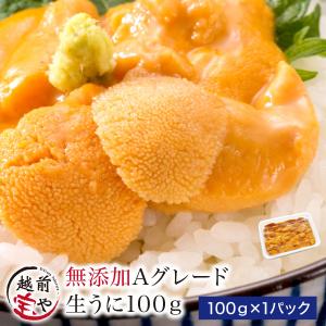 塩雲丹 うに 70g 入 簡易包装品 塩うに 塩ウニ デス 送料込 価格 ご