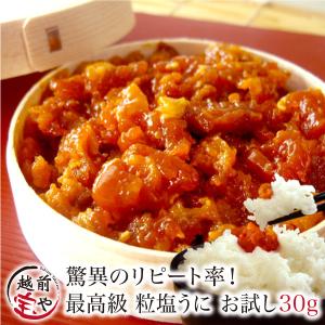 越前宝や ギフト塩うに 80g 塩ウニ 塩雲丹 しおうに 汐うに 汐 越前宝や ギフト塩うに 80g 塩ウニ 塩雲丹 しおうに 汐うに 汐