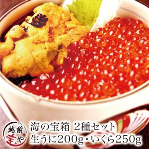 生うに 200g（100g×2）+ いくら 醤油漬け 250 海鮮セッ...