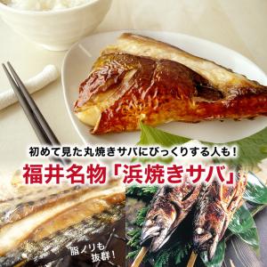焼きサバ 焼き鯖 焼き鯖寿司 福井 焼鯖 やき...の詳細画像2