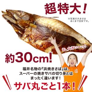 焼きサバ 焼き鯖 焼き鯖寿司 福井 焼鯖 やき...の詳細画像3