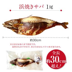 焼きサバ 焼き鯖 焼き鯖寿司 福井 焼鯖 やき...の詳細画像4