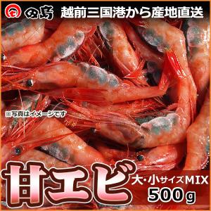 甘エビ 500g（大・小サイズMIX）濃厚な旨みの甘えび　御歳暮　ギフト（福井県三国港から産地直送）[冷凍]
