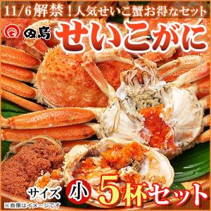 せいこがに５杯セット 福井県産せいこ蟹（セイコガニ・セコガニ）約100〜120ｇ（小）×５杯　御歳暮　ギフト  [冷蔵]