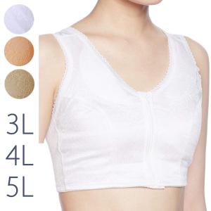 和装ブラジャー 3L 4L 5Ｌ 日本製 白 ピンクベージュ モカ