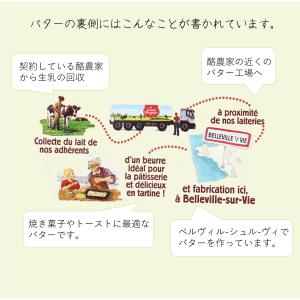 エクストラ・フィン無塩250g フランス産発酵...の詳細画像2