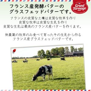 【NEWパッケージ】フランス産発酵バター バイ...の詳細画像2