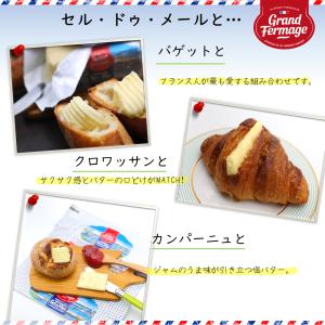 フランス産発酵バター セル・ドゥ・メール250...の詳細画像1