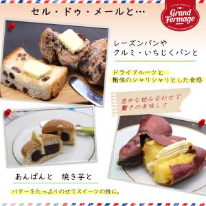 フランス産発酵バター セル・ドゥ・メール250...の詳細画像2