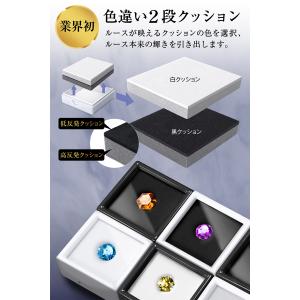 [今だけ★レビューで特典配布中] ルースケース...の詳細画像2