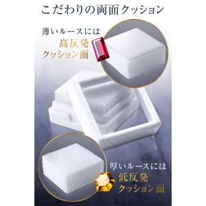 [今だけ★レビューで特典配布中] ルースケース...の詳細画像3