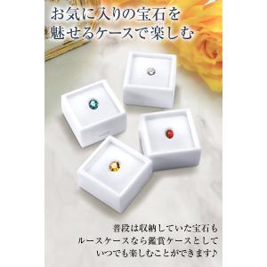 [今だけ★レビューで特典配布中] ルースケース...の詳細画像5