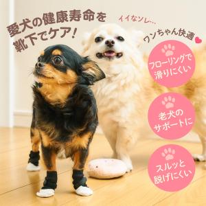 [今だけ★レビューで特典配布中★] 犬 靴下 ...の詳細画像1
