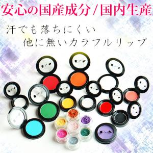 [送料無料/即日発送/在庫あり/即納] 落ちな...の詳細画像1