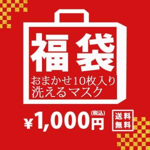 福袋 2021 レディース メンズ 雑貨 2021福袋 マスク おしゃれ 洗える 洗えるマスク 10枚セット おまかせ ランダム 大人用 布 ニット 柄