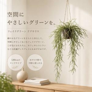 フェイクグリーン リプサリス 造花 ハンギング...の詳細画像1