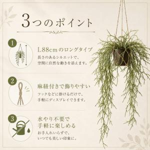 フェイクグリーン リプサリス 造花 ハンギング...の詳細画像3