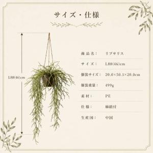 フェイクグリーン リプサリス 造花 ハンギング...の詳細画像4