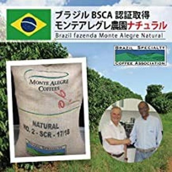 コーヒー生豆 箱詰め松屋珈琲 ブラジル モンテアレグレ ナチュラル (10kg箱)