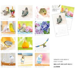 カレンダー2026 かわいんこ インコと小鳥の...の詳細画像3