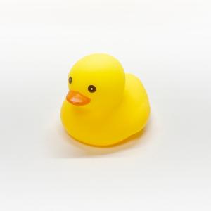 バードトイ 鳥のおもちゃ ハンドトイ ダッキー