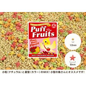 えとぴりか パフザフルーツ(ボール型)1kg ...の詳細画像1