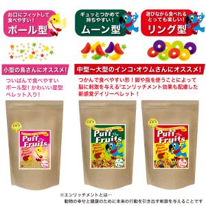えとぴりか パフザフルーツ(リング型)300g...の詳細画像2